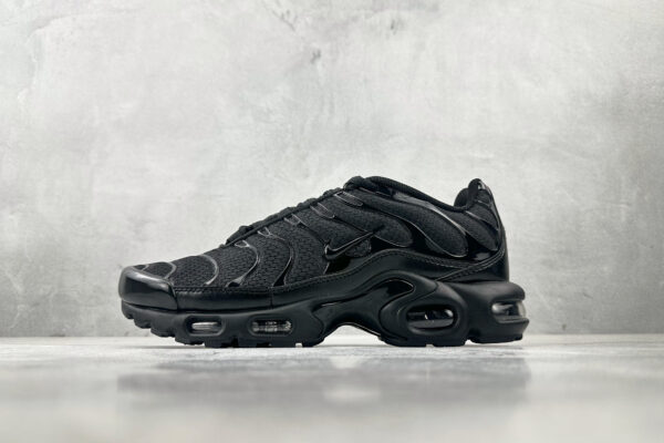 Nike Air Max Plus black