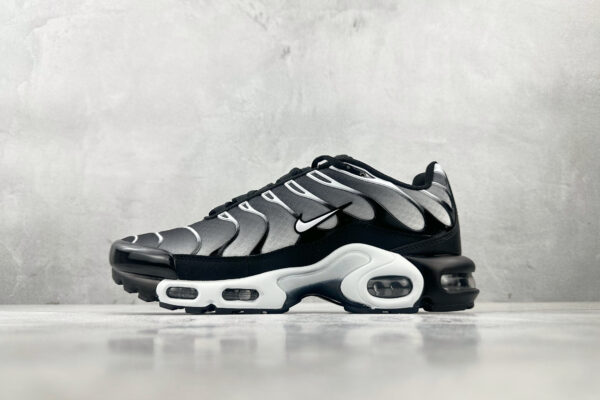 Nike Air Max Plus Dark gray
