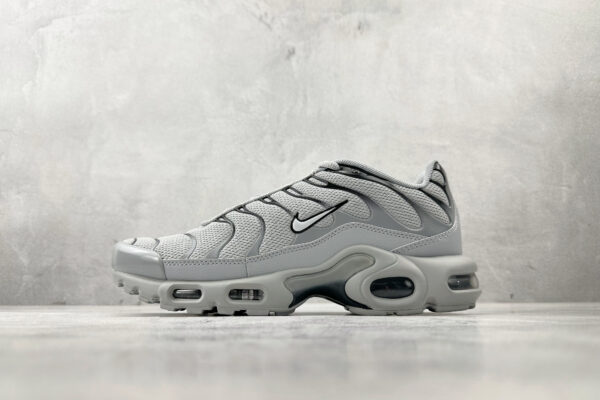 Nike Air Max Plus grey