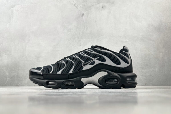 Nike Air Max Plus Black-silver
