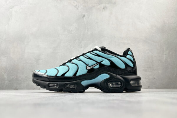 Nike Air Max Plus Black and Blue