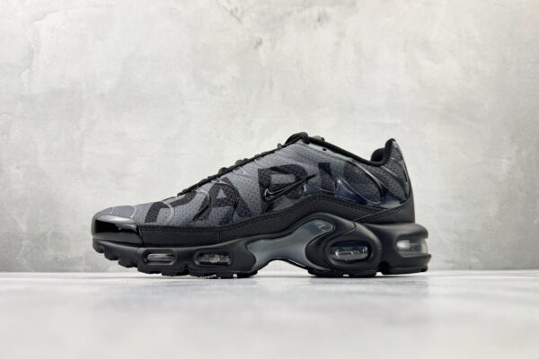 Nike Air Max Plus Dark gray