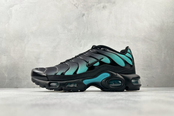Nike Air Max Plus Black-blue