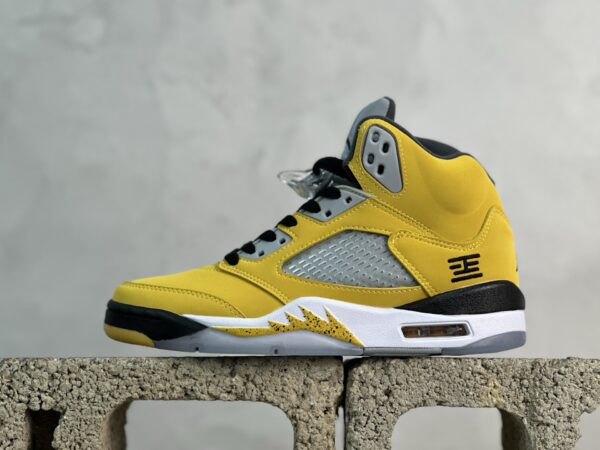 Air Jordan 5