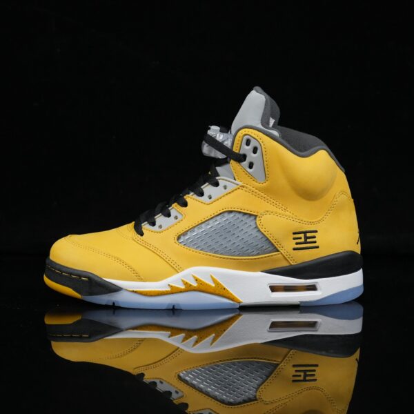 Air Jordan 5 Retro