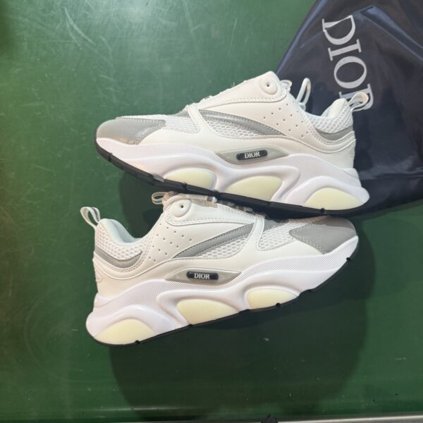 Dior B22