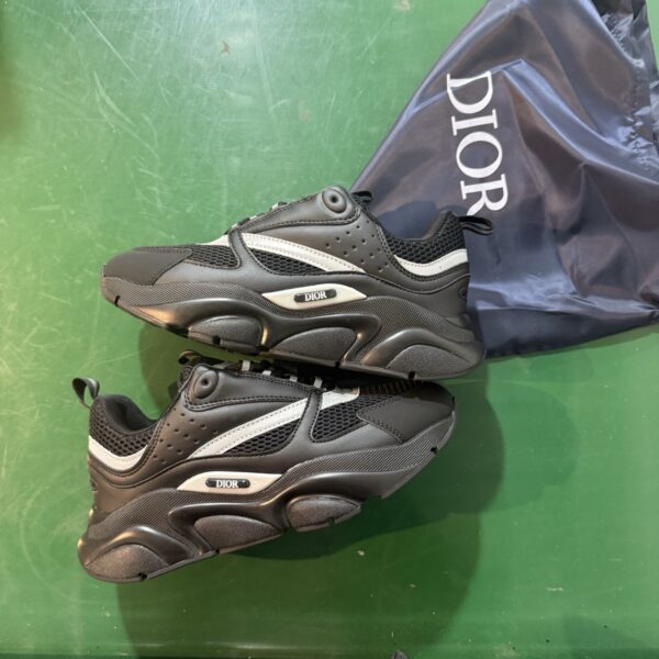 Dior B22