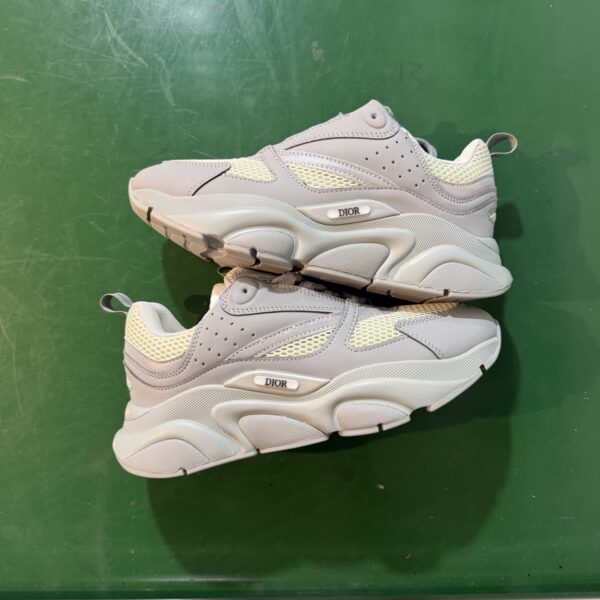 Dior B22