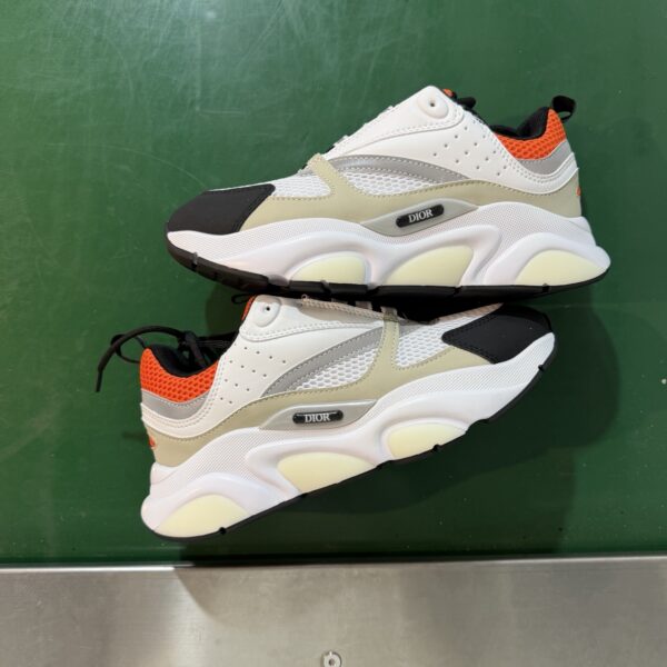 Dior B22