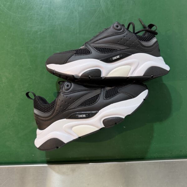 Dior B22
