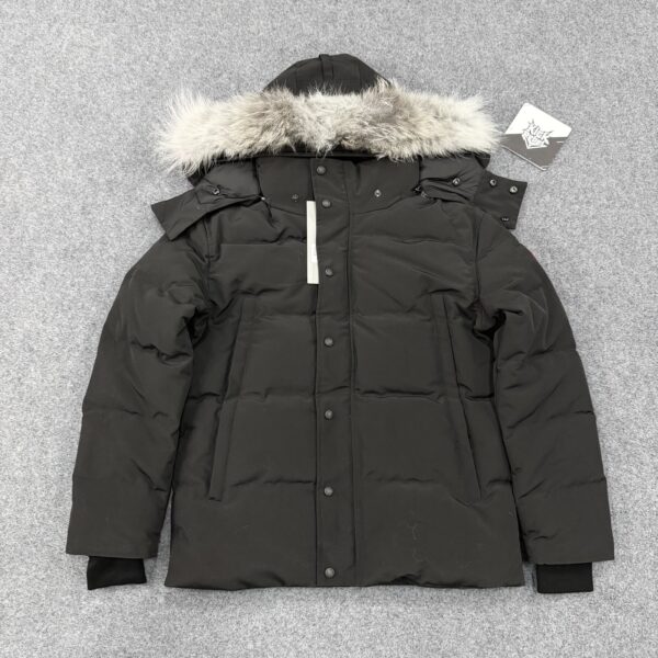 Canada Goose Down Jacket 2