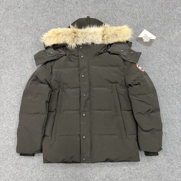 Canada Goose Down Jacket 4